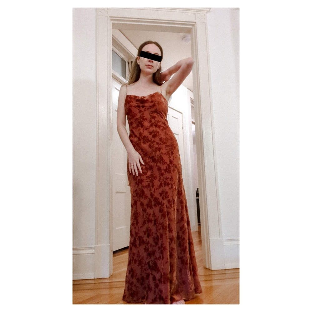 Jenny Yoo | Velvet Rory Dress | Size 2 | English Rose 🌹
